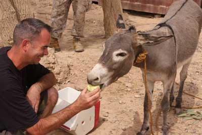 A MARINE feeds an apple to the donkey